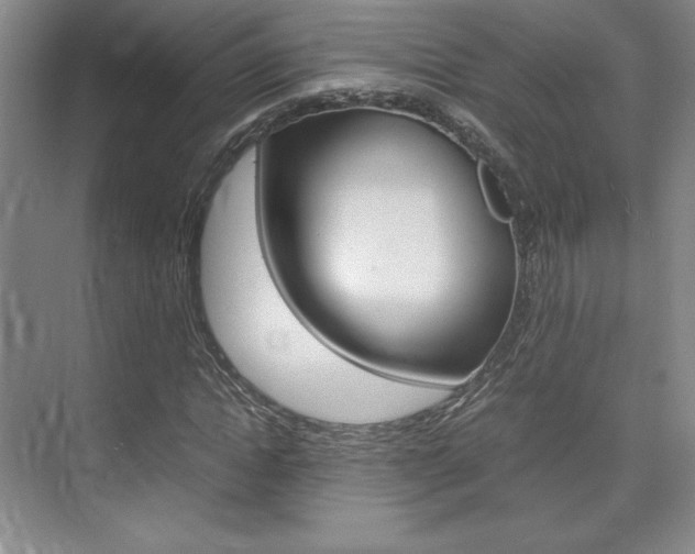 X0000075870822200609150939