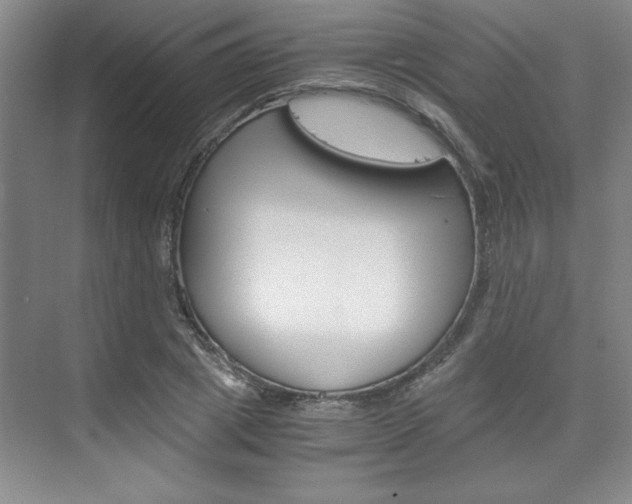 X0000075870833200609150939
