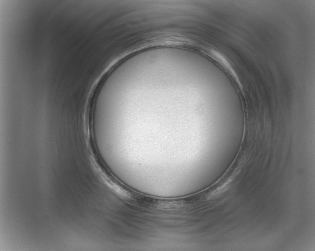 X0000075870843200609150939