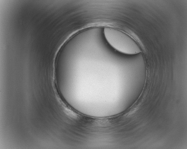 X0000075870844200609150939