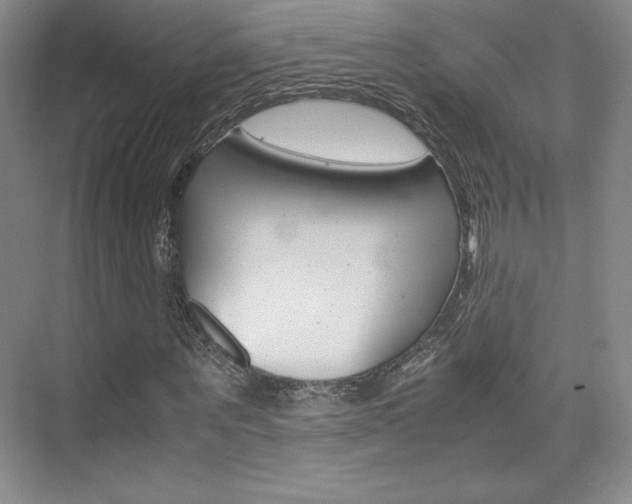 X0000075870867200609150939