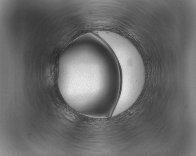 X0000075870868200609150939