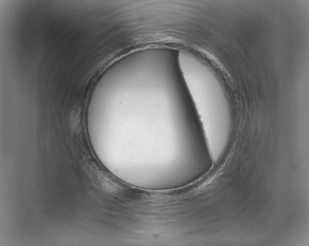 X0000075870873200609150939