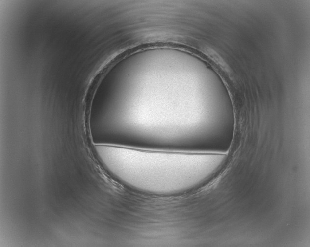 X0000075870877200609150939