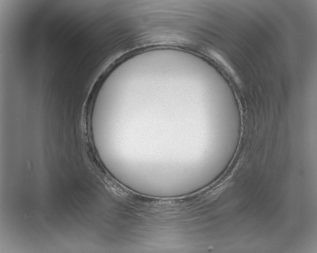 X0000075870883200609150939