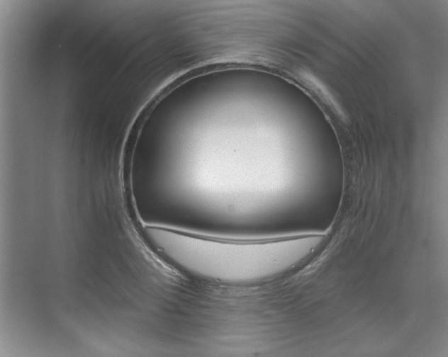 X0000075870884200609150938