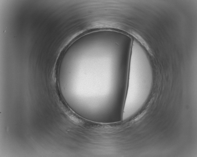 X0000075870885200609150938