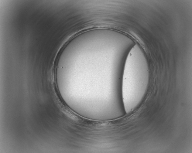 X0000075870891200609150938