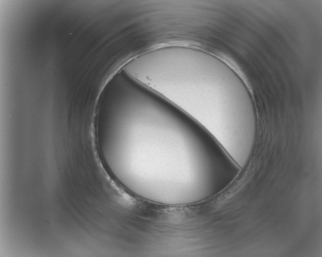 X0000075870906200609150938