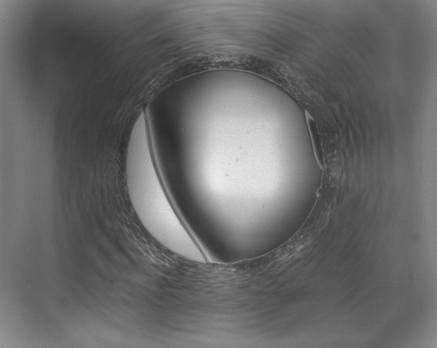 X0000075870916200609150937