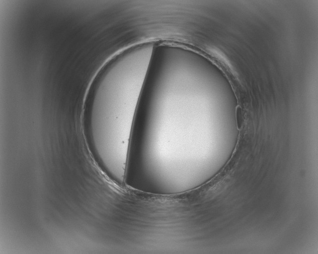 X0000075870924200609150937