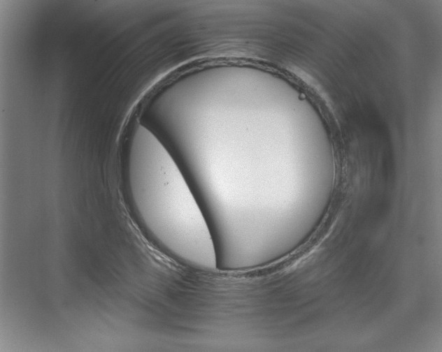 X0000075870925200609150937