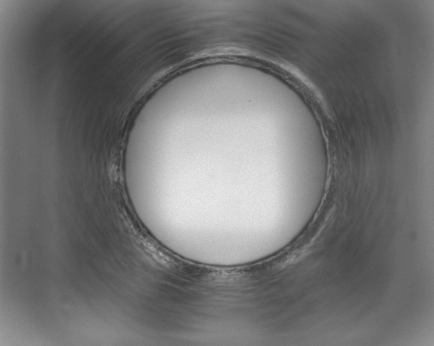 X0000075870929200609150937