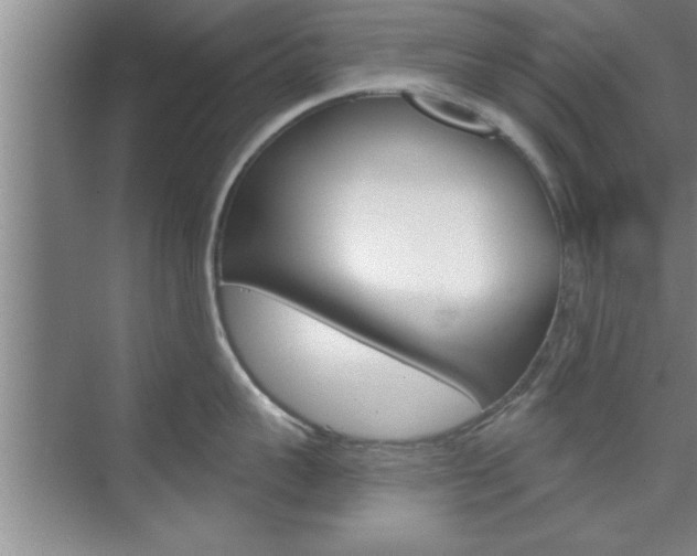 X0000075870959200609150938