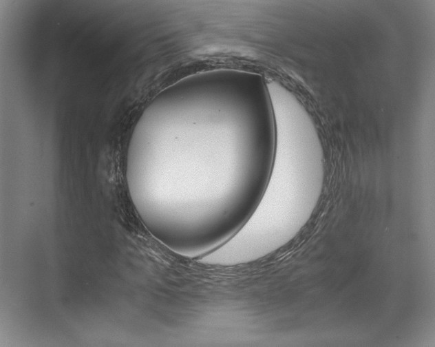 X0000075870965200609150937