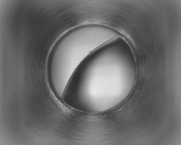 X0000075870976200609150937
