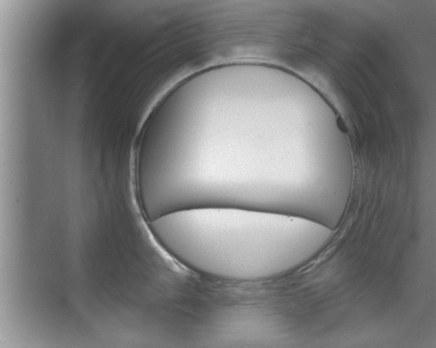 X0000075871006200609150936