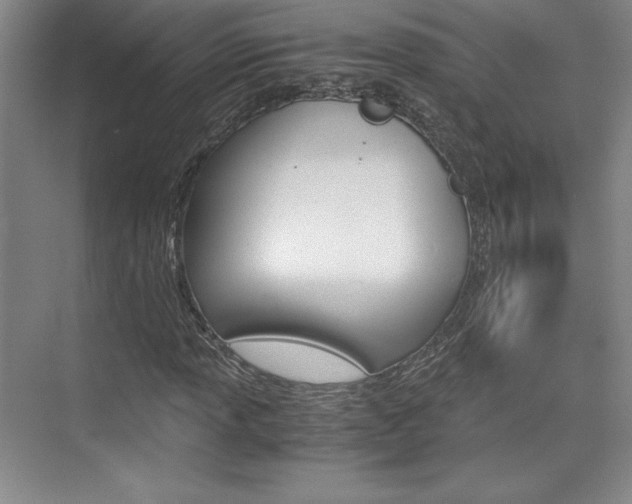 X0000075871013200609150936