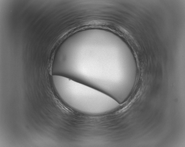 X0000075871017200609150936