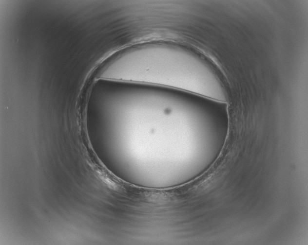 X0000075871018200609150936