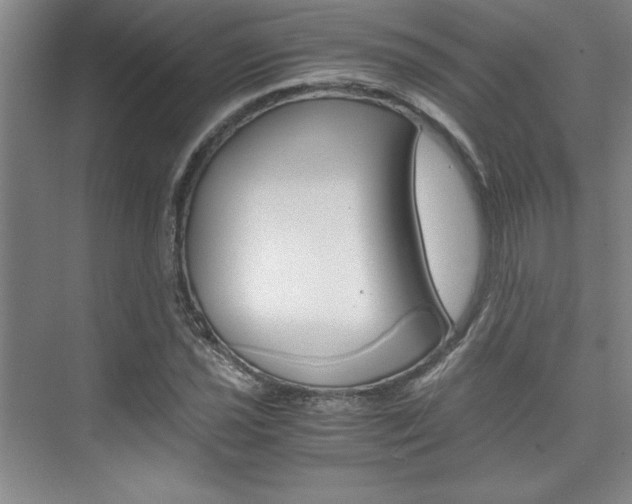 X0000075871021200609150936