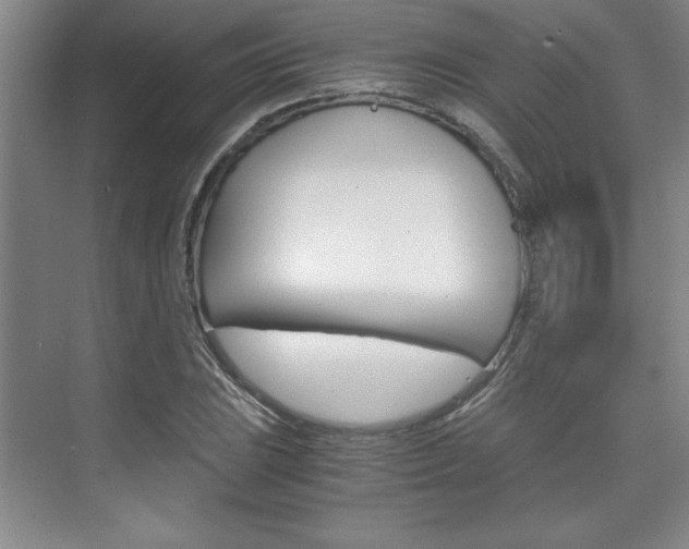 X0000075871023200609150936
