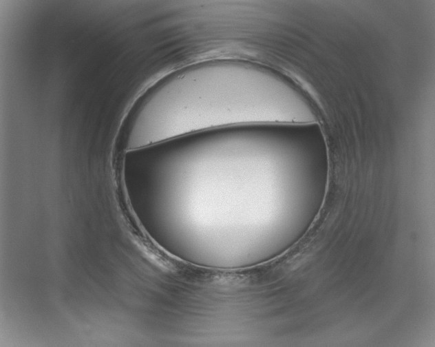 X0000075871026200609150936