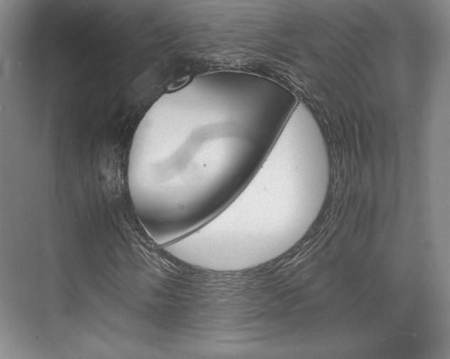 X0000075871058200609150936