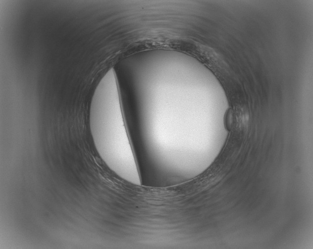 X0000075871060200609150936