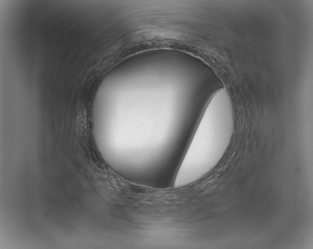 X0000075871061200609150935