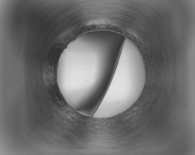 X0000075871062200609150935