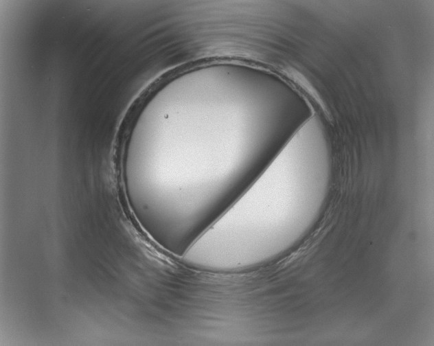 X0000075871068200609150935