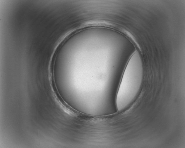 X0000075871082200609150935