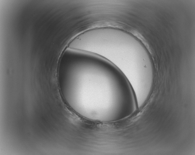 X0000075871089200609150935