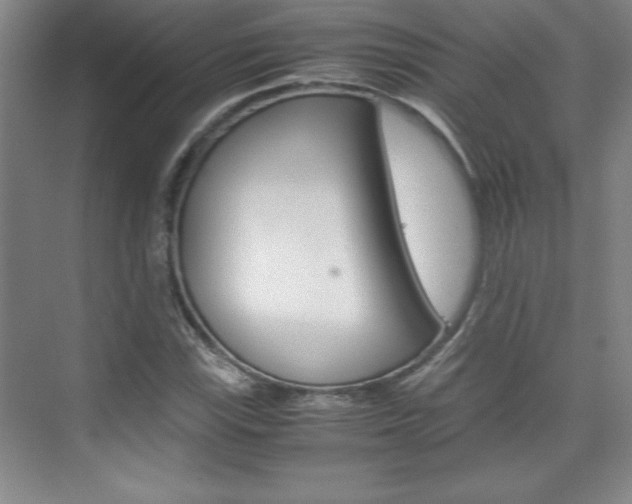 X0000075871115200609150934