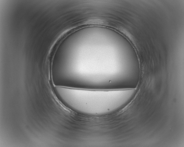 X0000075871123200609150934