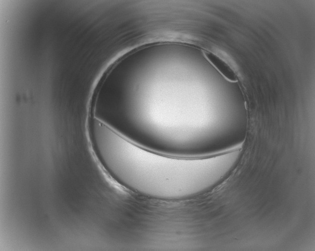 X0000075871136200609150934