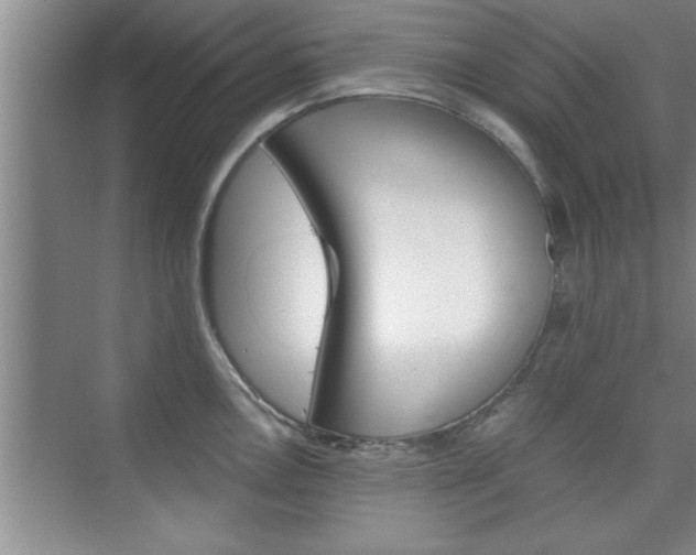 X0000075871146200609150935