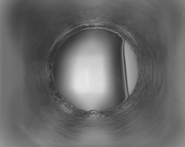 X0000075871160200609150934