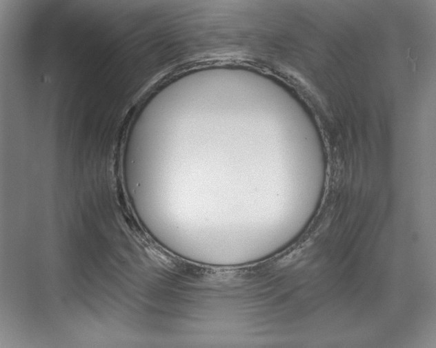 X0000075871162200609150934