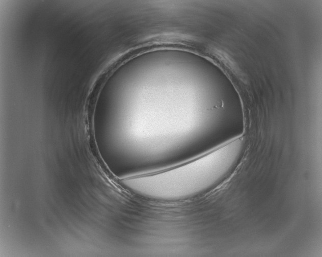 X0000075871164200609150934