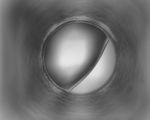 X0000075871176200609150934