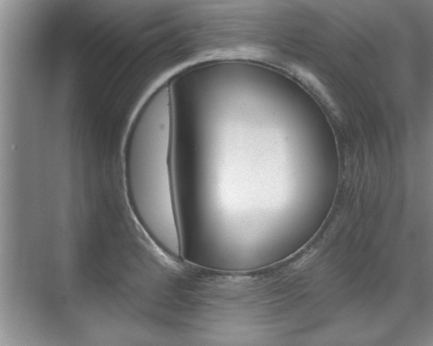 X0000075871184200609150933