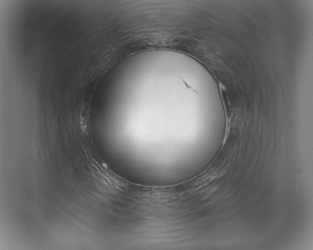 X0000075871202200609150932