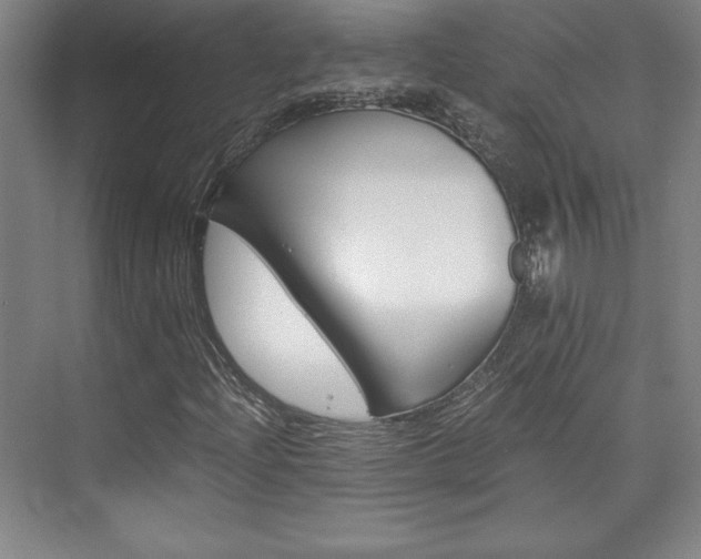 X0000075871204200609150932