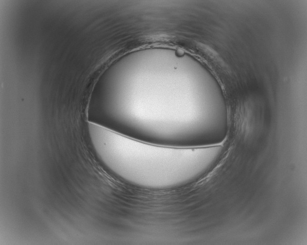 X0000075871209200609150932