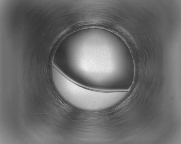 X0000075871210200609150932