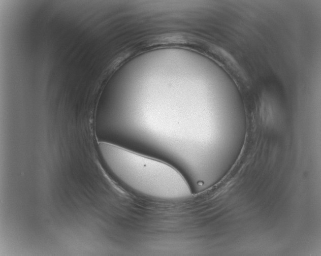 X0000075871225200609150933