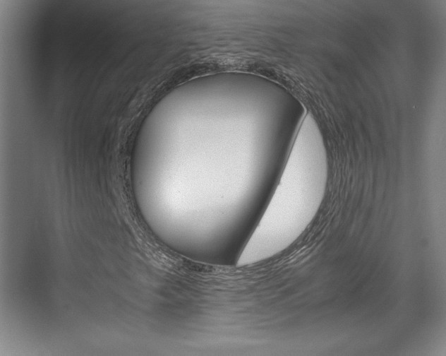 X0000075871249200609150932