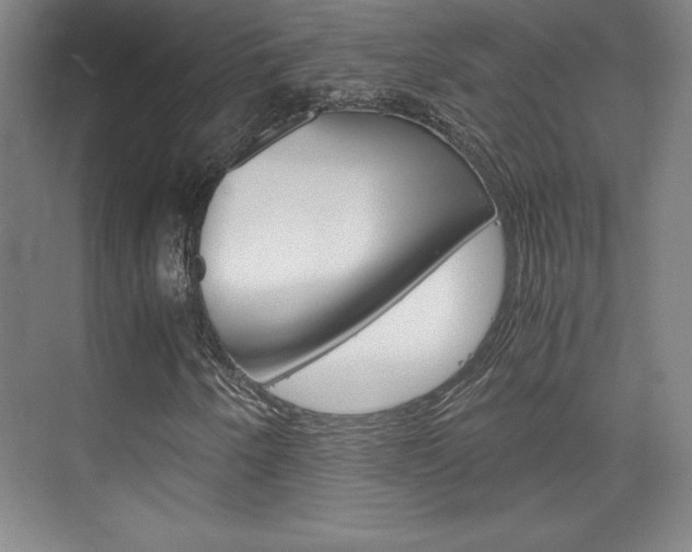 X0000075871250200609150932